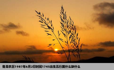 我是农历1987年6月2日时间1745出生五行属什么缺什么