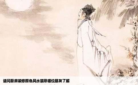 请问厨房装修颜色风水禁忌哪位朋友了解