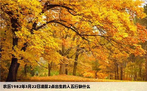 农历1982年3月22日凌晨2点出生的人五行缺什么