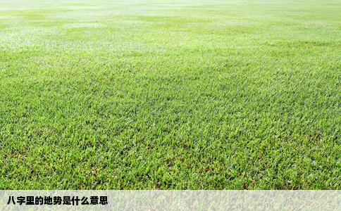 八字里的地势是什么意思