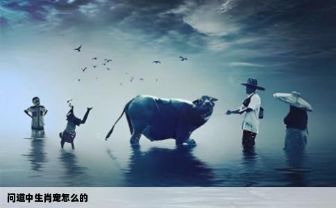 问道中生肖宠怎么的