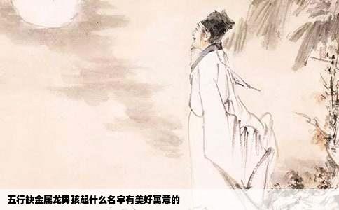 五行缺金属龙男孩起什么名字有美好寓意的