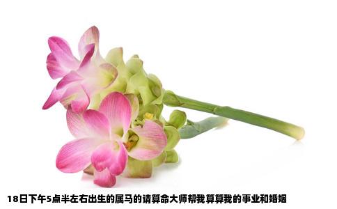 18日下午5点半左右出生的属马的请算命大师帮我算算我的事业和婚姻