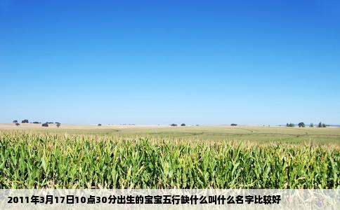 2011年3月17日10点30分出生的宝宝五行缺什么叫什么名字比较好