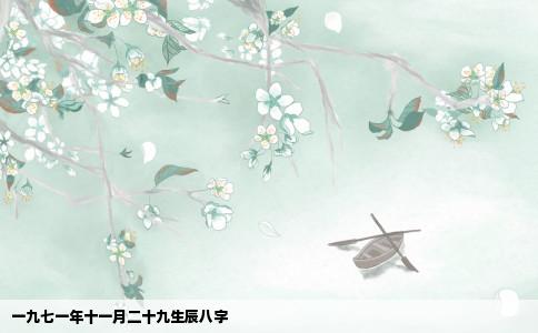 一九七一年十一月二十九生辰八字