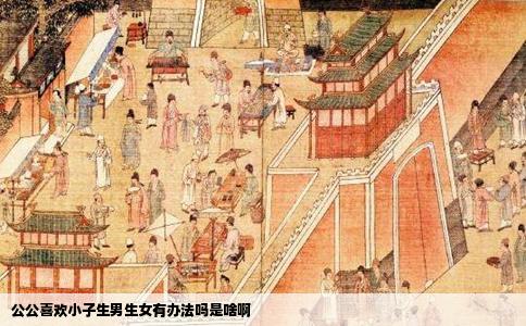公公喜欢小子生男生女有办法吗是啥啊