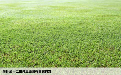 为什么十二生肖里面没有真实的龙