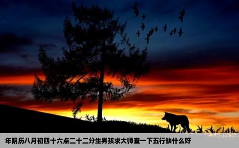 年阴历八月初四十六点二十二分生男孩求大师查一下五行缺什么好