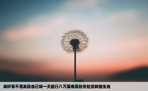 真好看不用发动自己转一天能行八万里春夏秋冬轮流转猜生肖