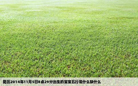 阳历2014年11月5日8点29分出生的宝宝五行是什么缺什么