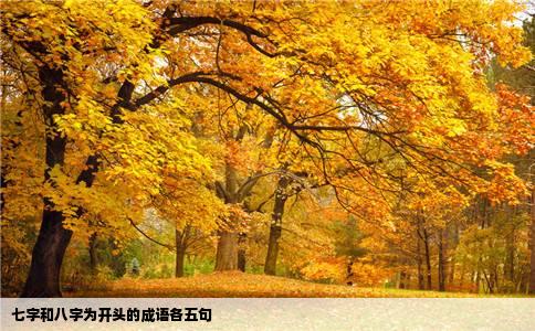 七字和八字为开头的成语各五句