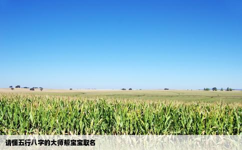 请懂五行八字的大师帮宝宝取名