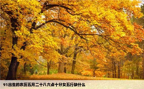 91出生的农历五月二十八六点十分女五行缺什么
