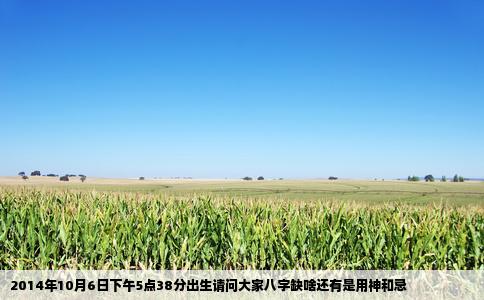 2014年10月6日下午5点38分出生请问大家八字缺啥还有是用神和忌