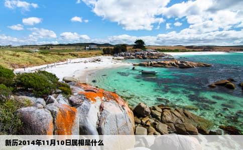 新历2014年11月10日属相是什么