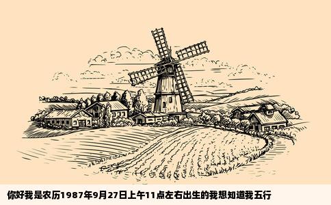 你好我是农历1987年9月27日上午11点左右出生的我想知道我五行