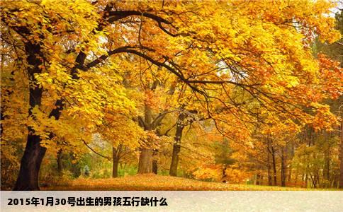 2015年1月30号出生的男孩五行缺什么