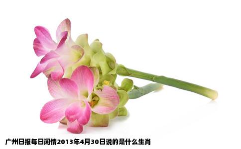 广州日报每日闲情2013年4月30日说的是什么生肖