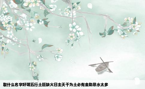 取什么名字好呢五行土旺缺火日主天干为土必有金助忌水太多