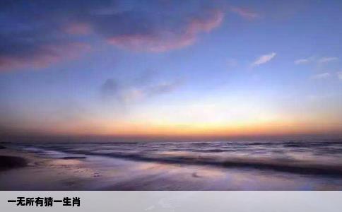 一无所有猜一生肖