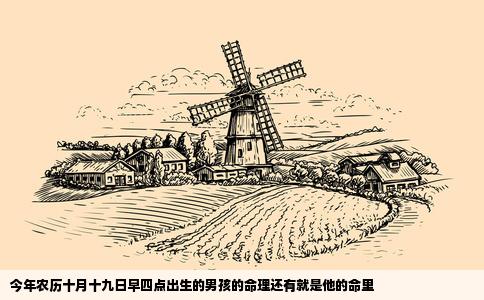 今年农历十月十九日早四点出生的男孩的命理还有就是他的命里