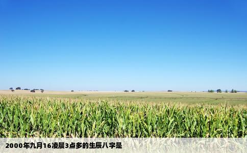 2000年九月16凌晨3点多的生辰八字是