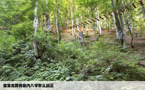 宝宝走路有些内八字怎么纠正