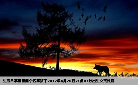 生辰八字宝宝起个名字孩子2012年4月20日21点07分出生女孩姓曹