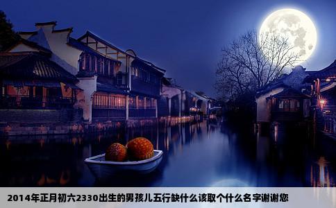 2014年正月初六2330出生的男孩儿五行缺什么该取个什么名字谢谢您