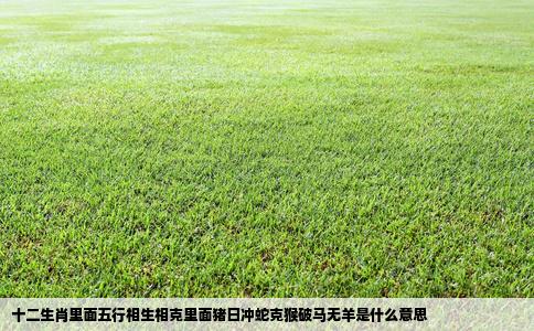 十二生肖里面五行相生相克里面猪日冲蛇克猴破马无羊是什么意思