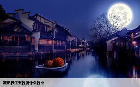 减肥养生五行属什么行业