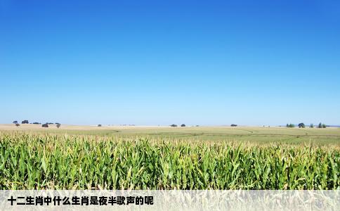 十二生肖中什么生肖是夜半歌声的呢