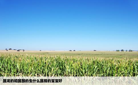 属龙的和属猴的生什么属相的宝宝好