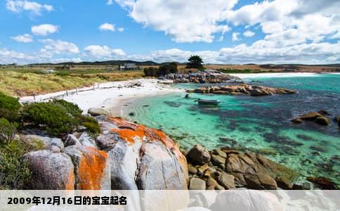 2009年12月16日的宝宝起名