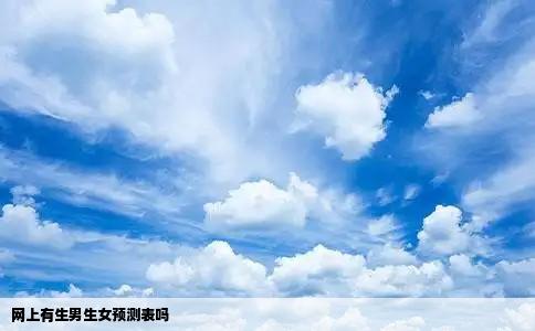 网上有生男生女预测表吗