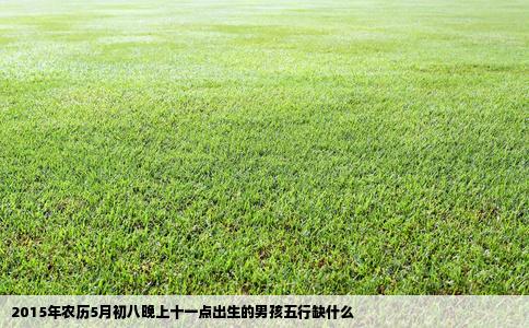 2015年农历5月初八晚上十一点出生的男孩五行缺什么
