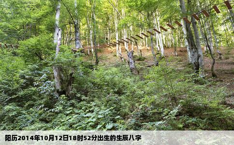 阳历2014年10月12日18时52分出生的生辰八字
