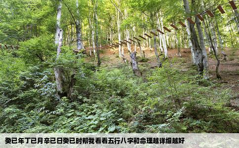 癸已年丁已月辛已日癸已时帮我看看五行八字和命理越详细越好