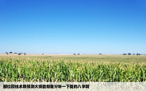 那位四柱术数预测大师能帮我分析一下我的八字啊