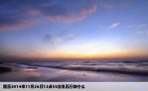 阴历2014年11月26日12点55出生五行缺什么