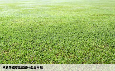 马到功成奏凯歌是什么生肖呢