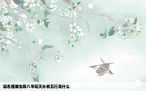 起名根据生辰八字后天补救五行是什么