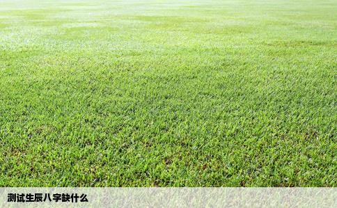 测试生辰八字缺什么