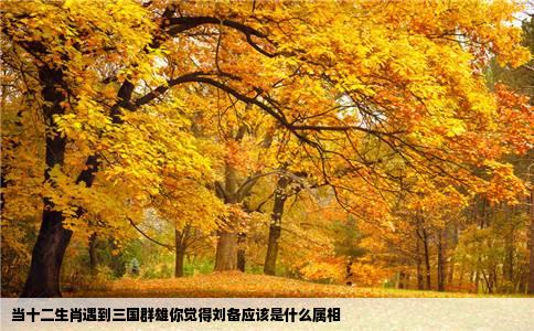 当十二生肖遇到三国群雄你觉得刘备应该是什么属相