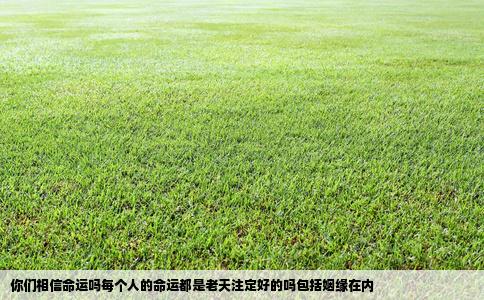 你们相信命运吗每个人的命运都是老天注定好的吗包括姻缘在内