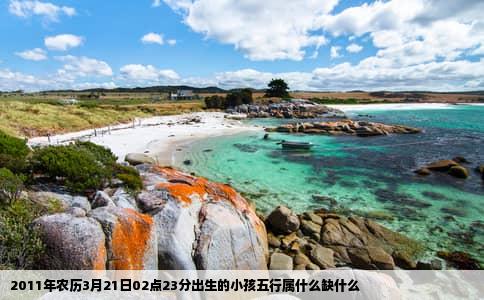 2011年农历3月21日02点23分出生的小孩五行属什么缺什么