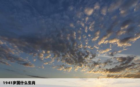 1941岁属什么生肖