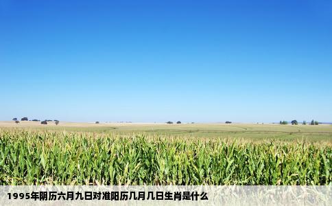 1995年阴历六月九日对准阳历几月几日生肖是什么