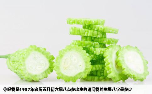 你好我是1987年农历五月初六早八点多出生的请问我的生辰八字是多少