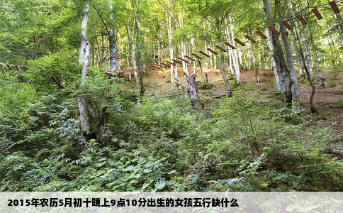 2015年农历5月初十晚上9点10分出生的女孩五行缺什么